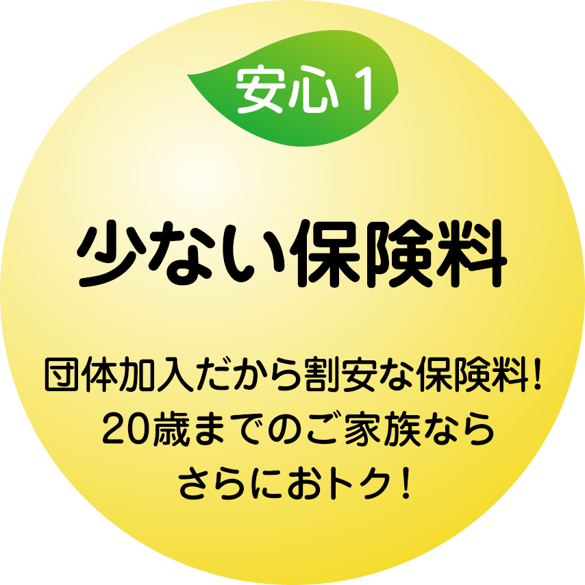 少ない保険料